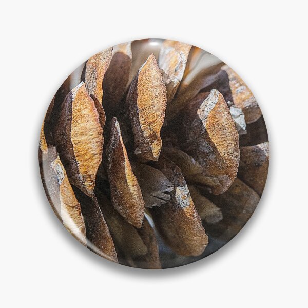 Item preview, Pine cone at rest designed and sold by CanadianWild418.