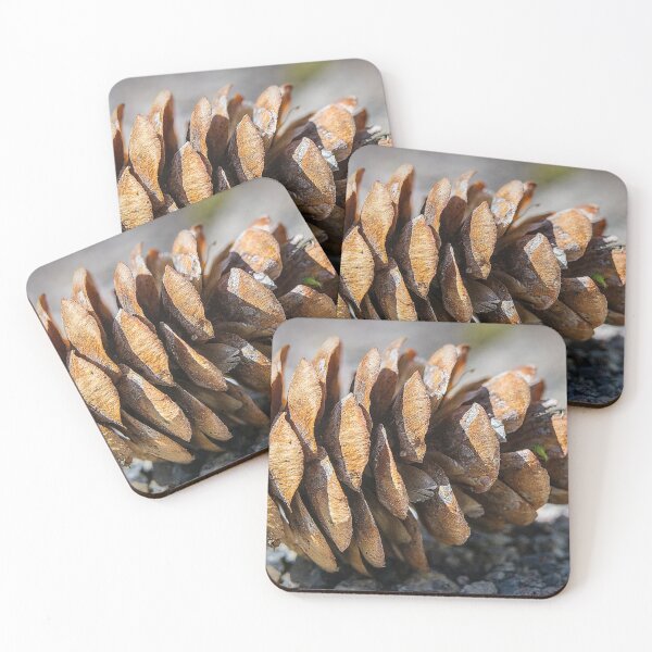 Item preview, Pine cone at rest designed and sold by CanadianWild418.