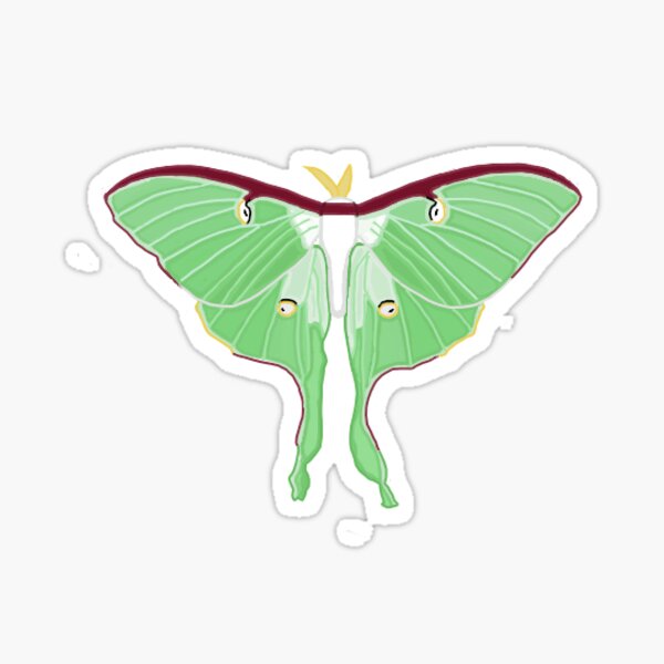 Small Moth Stickers