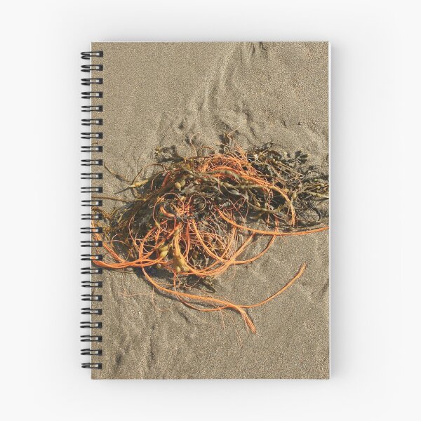 Item preview, Man plus Nature designed and sold by Martin Harradine.