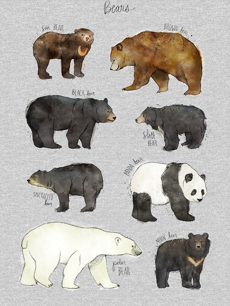 Bears by AmyHamilton