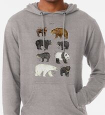 Bears Lightweight Hoodie