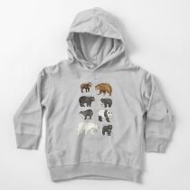 Bears Toddler Pullover Hoodie