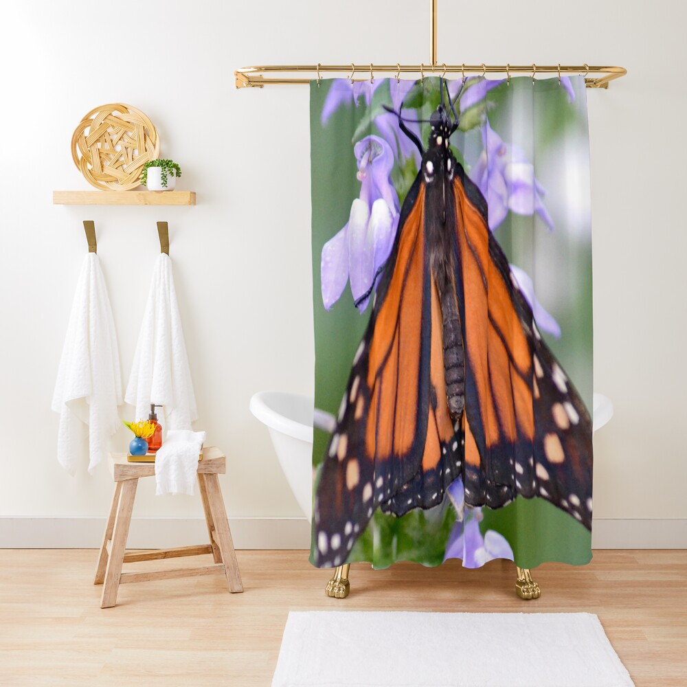 "Monarch Butterfly" Shower Curtain for Sale by ReneeKennedy Redbubble