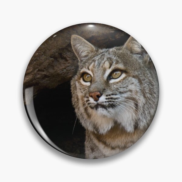 Item preview, You Can Take My Picture designed and sold by Linda Gregory.