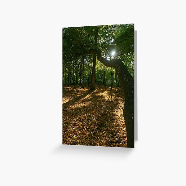 Leaning Tree Greeting Cards Redbubble