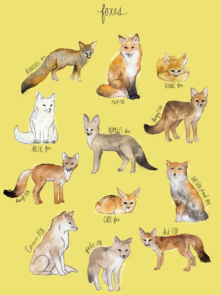 New Shirt Foxes of the World Fox T-shirt Usa Size