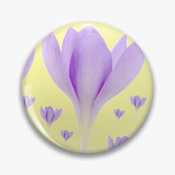 Item preview, Crocus goulimyi   AGM  Autumn flowering crocus designed and sold by Chris Burrows.