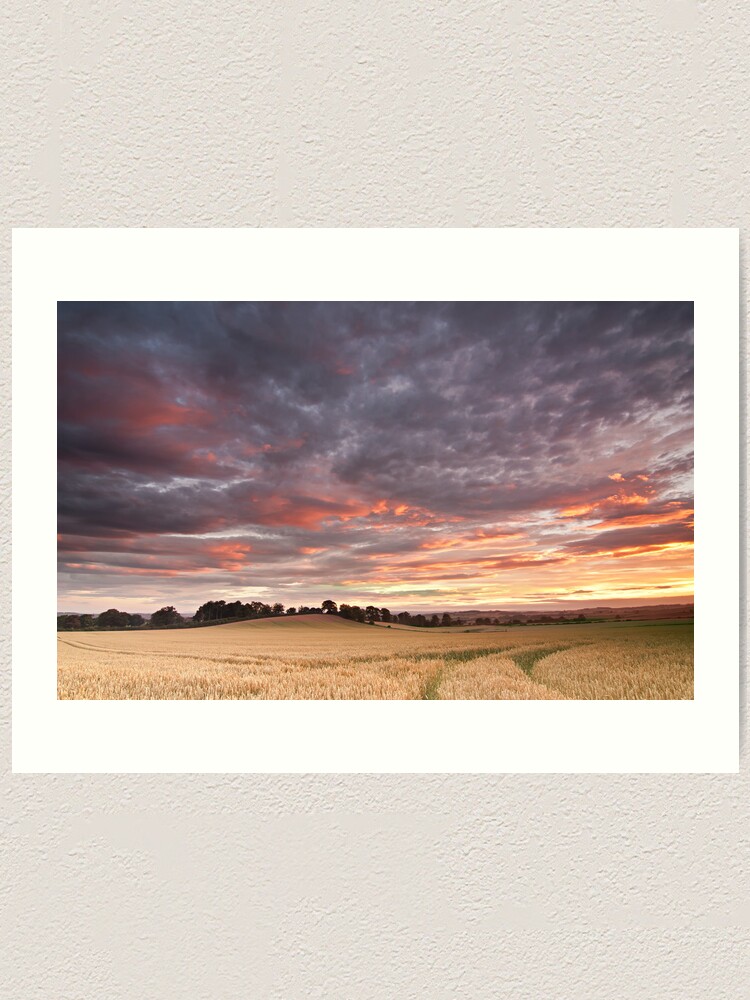 Alternate view of Field with a bump Art Print