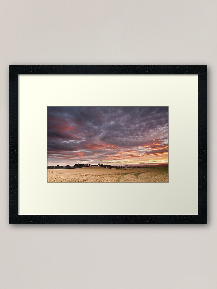 Alternate view of Field with a bump Framed Art Print