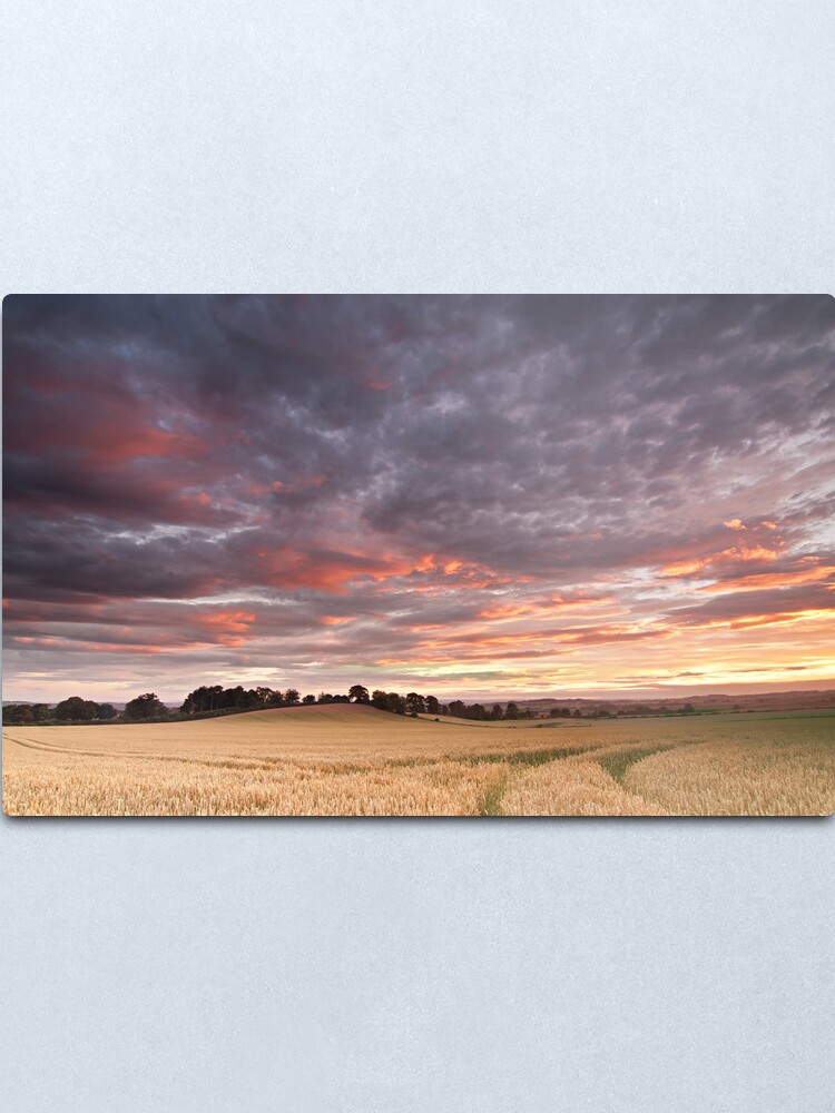 Alternate view of Field with a bump Metal Print