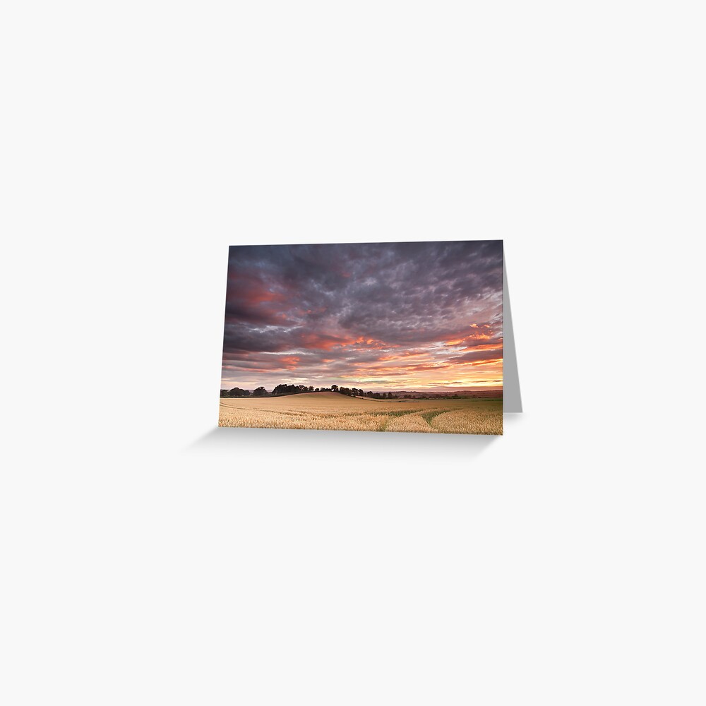 Field with a bump Greeting Card