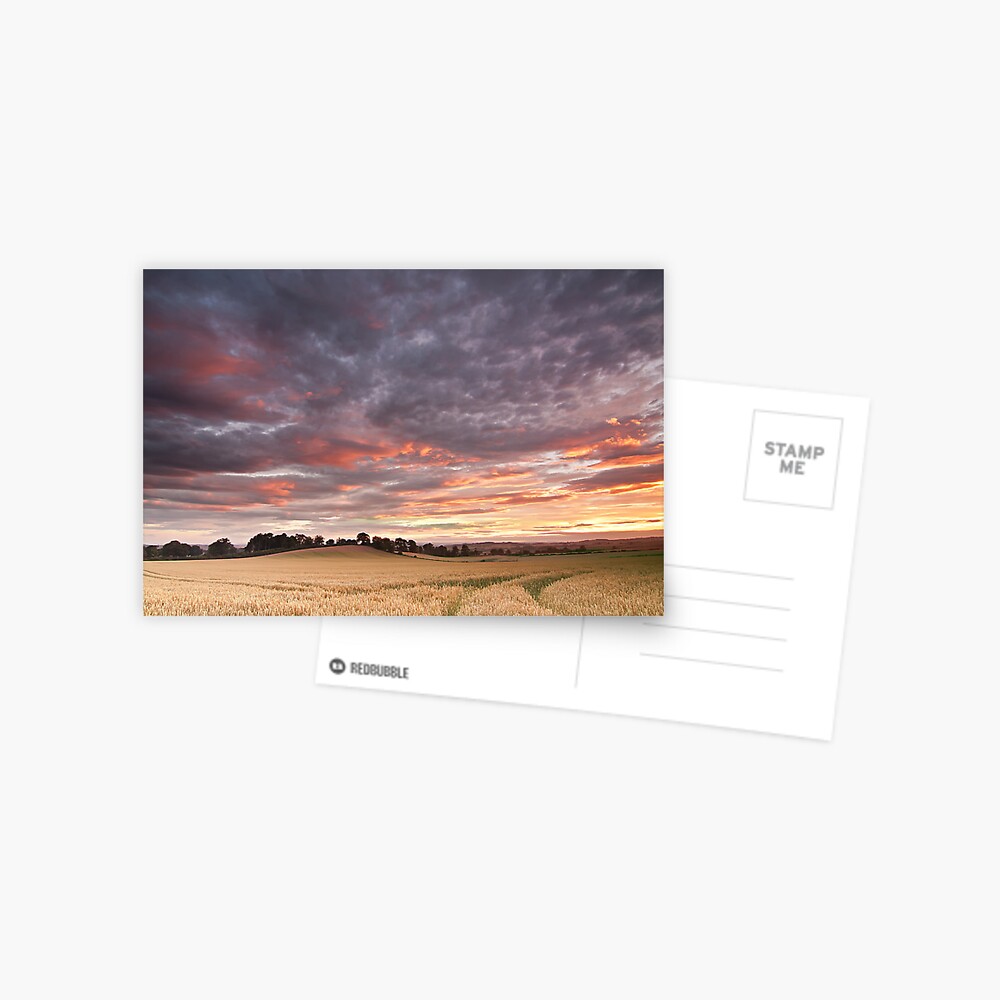 Field with a bump Postcard
