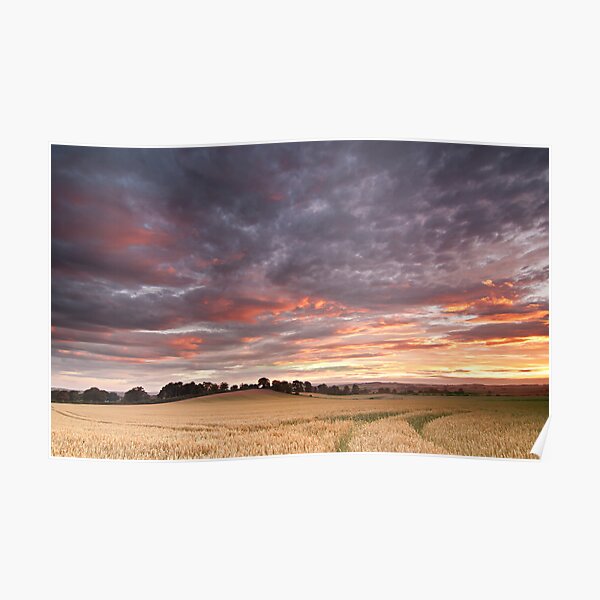 Field with a bump Poster