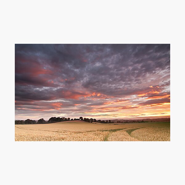 Field with a bump Photographic Print