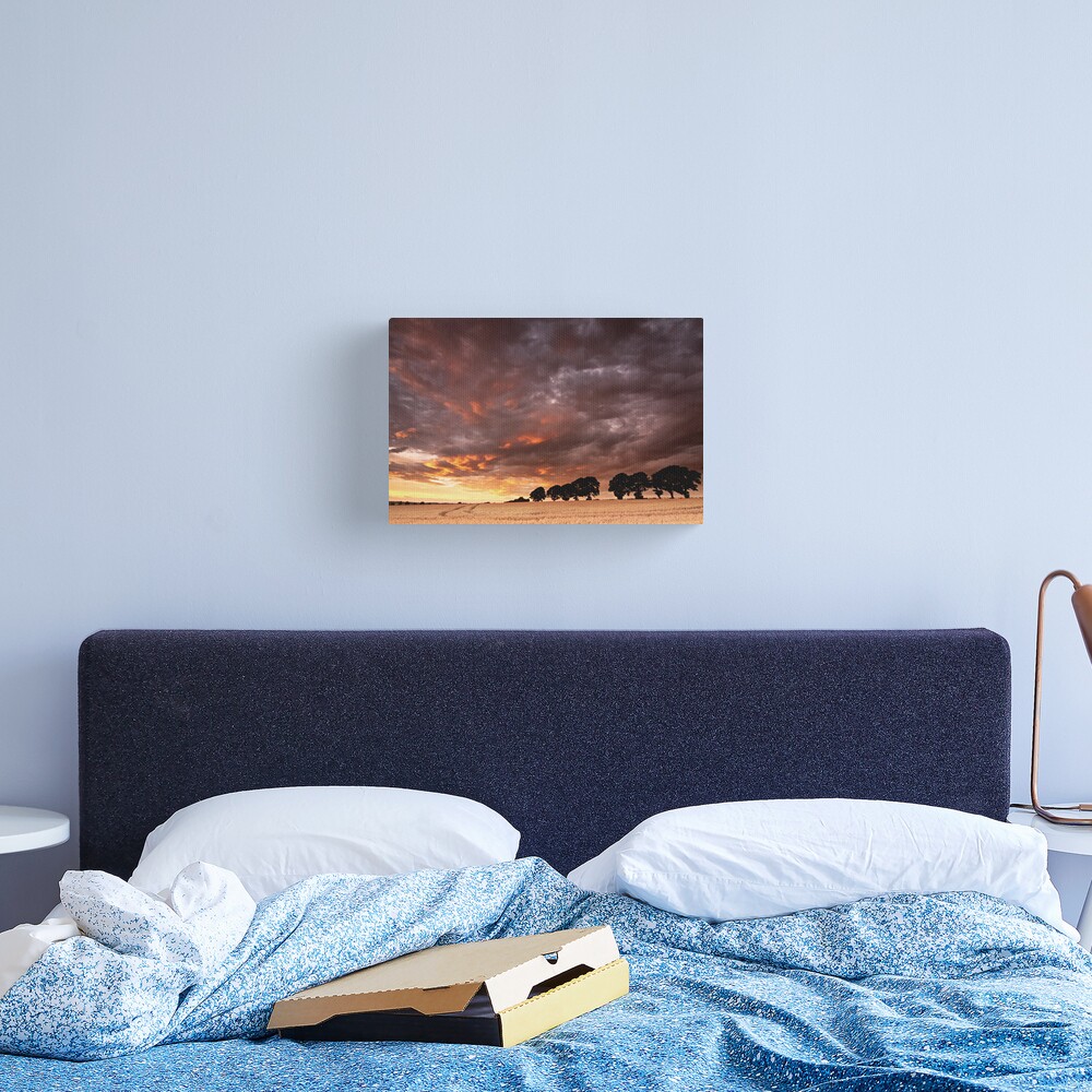 Sweeping past Canvas Print
