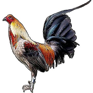 Imagen de la obra Gallos Gamefowl - Taza de gamefowl