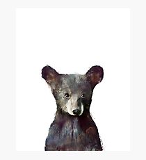 Kleiner Bär Fotodruck
