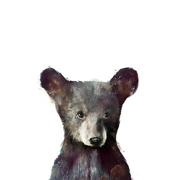 Artwork thumbnail, Little Bear by Amy Hamilton