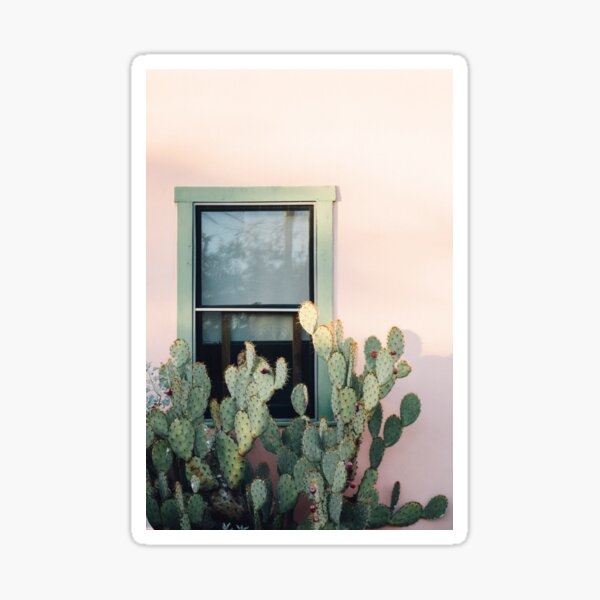 Item preview, Home is where the cactus is designed and sold by Nieves Montaño.