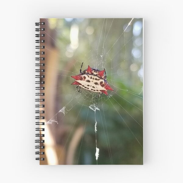 Item preview, orb weaver spider designed and sold by TabithaMalone.