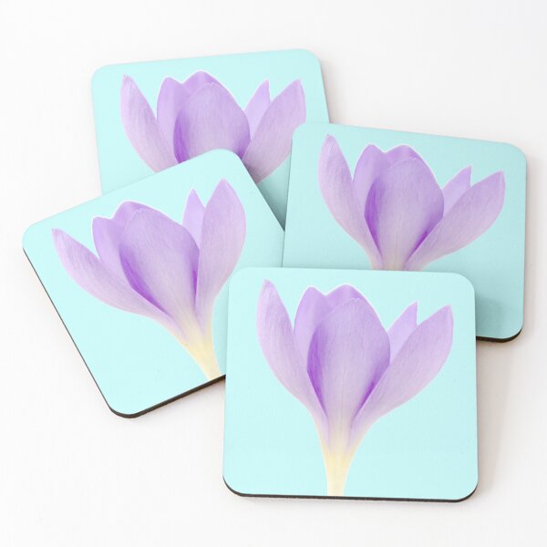 Item preview, Crocus goulimyi   AGM  Autumn flowering crocus designed and sold by Chris Burrows.