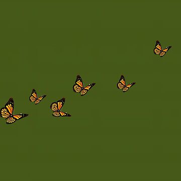 Fliegende Schmetterlinge Wallpaper