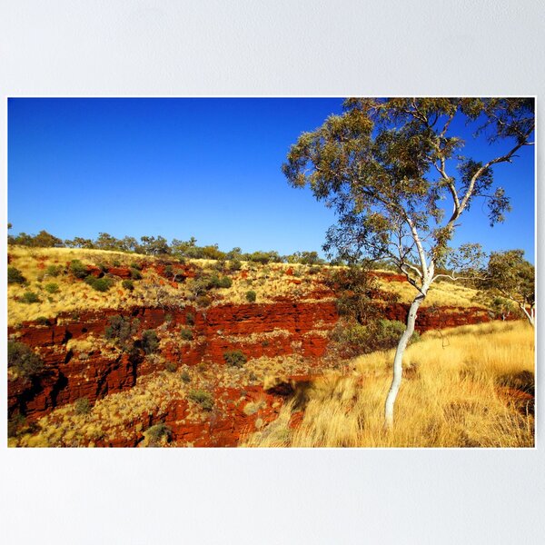 Item preview, Karajini National Park designed and sold by georgieboy98.