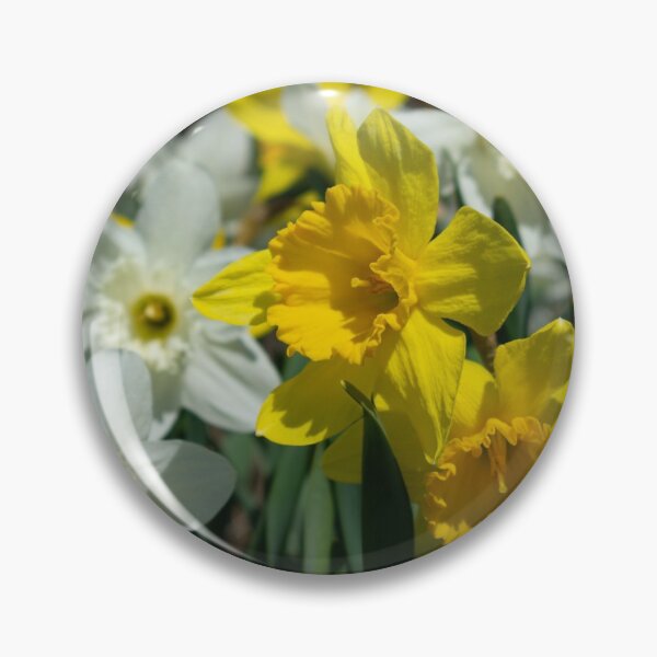 Item preview, backyard daffodils designed and sold by TeresaYoung9.