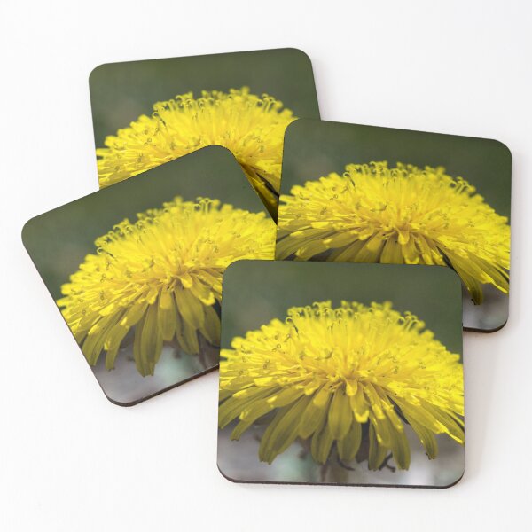 Item preview, Dandelion designed and sold by CanadianWild418.