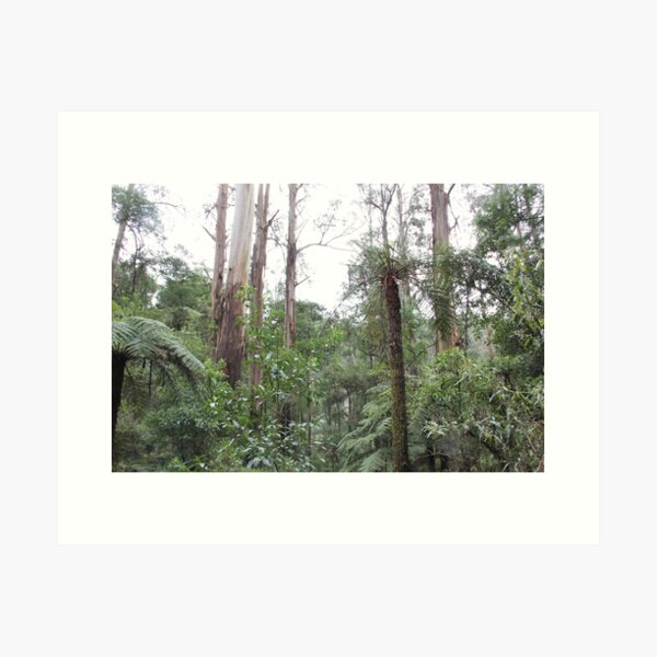 Item preview, Dandenongs rain forest designed and sold by Trevor Corran.