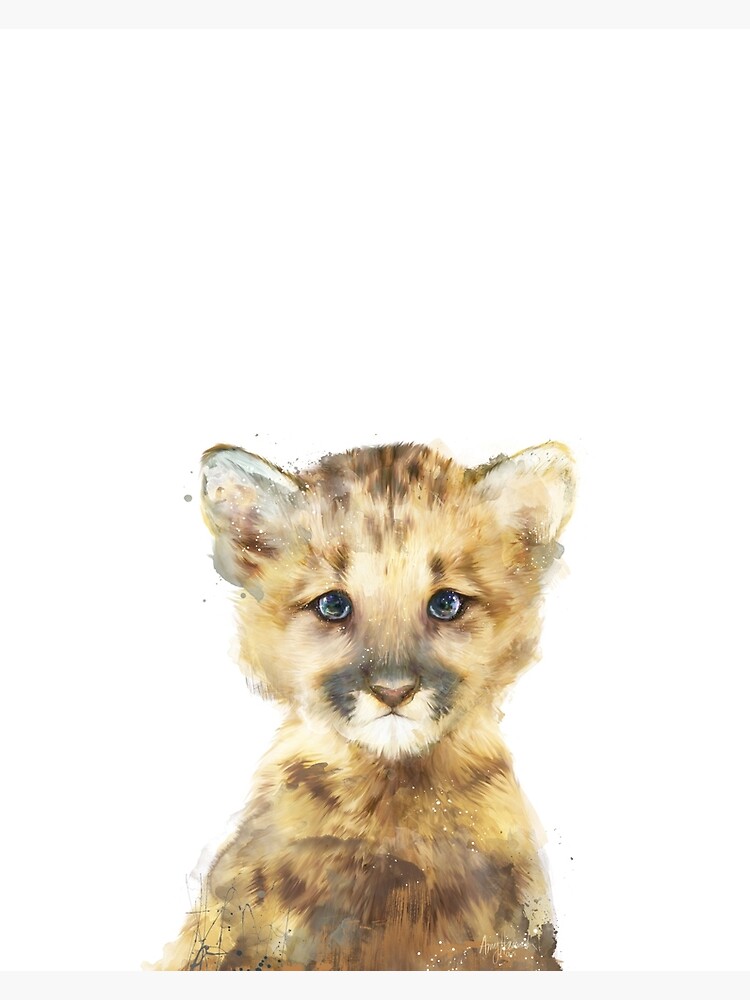 Thumbnail 3 of 3, Canvas Print, Little Mountain Lion designed and sold by Amy Hamilton.