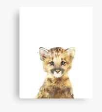 Little Mountain Lion Canvas Print
