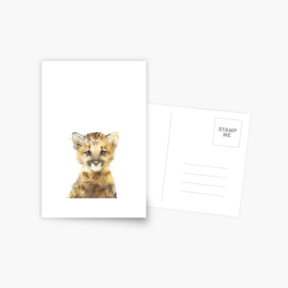 Little Mountain Lion Postcard