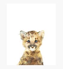 Little Mountain Lion Photographic Print