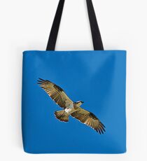 Osprey, Pandion Haliaetus Tote Bag
