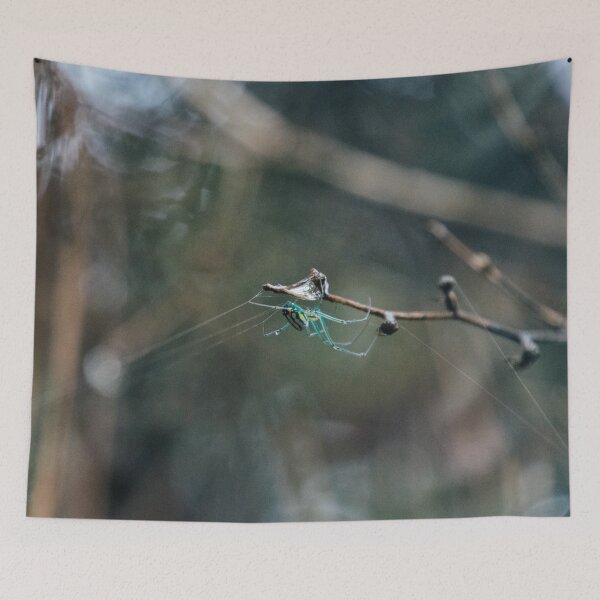 Item preview, Orchard Spider designed and sold by smithsarah1500.
