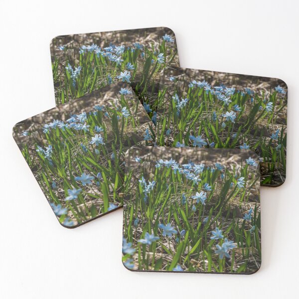 Item preview, Flowers in the sun. designed and sold by CanadianWild418.