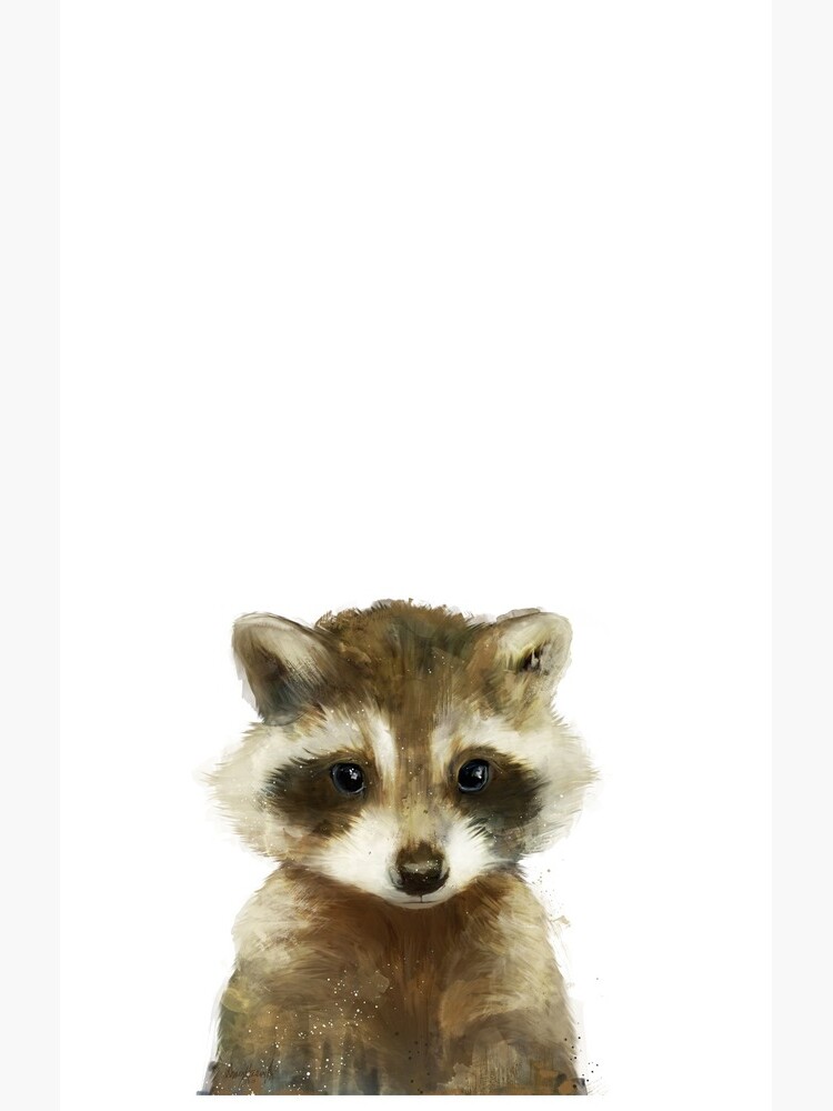 Little Raccoon by AmyHamilton