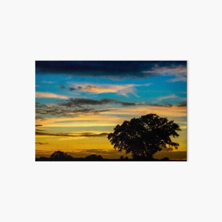 Oak Tree Sunset Silhouette Art Board Print