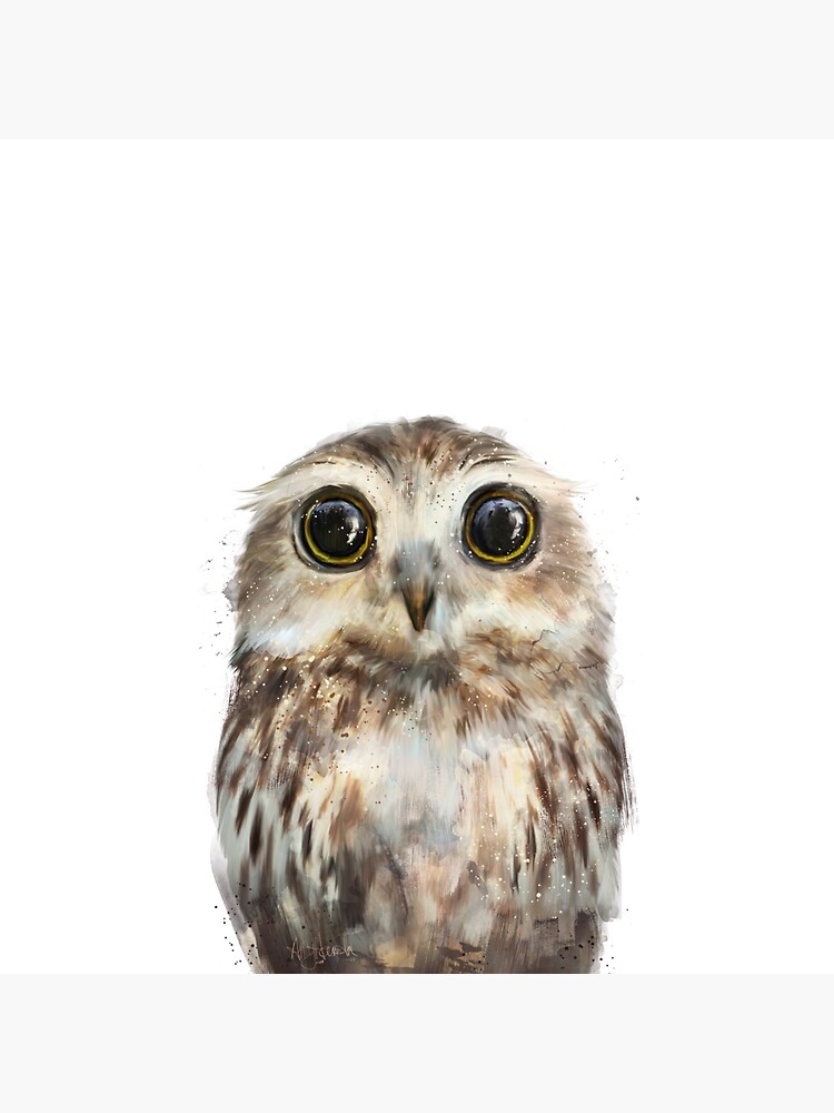 Little Owl by AmyHamilton