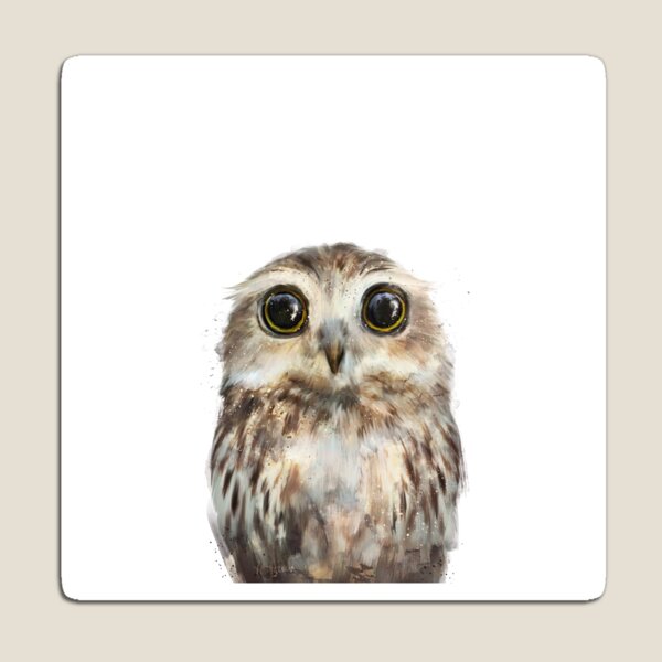 Little Owl Magnet