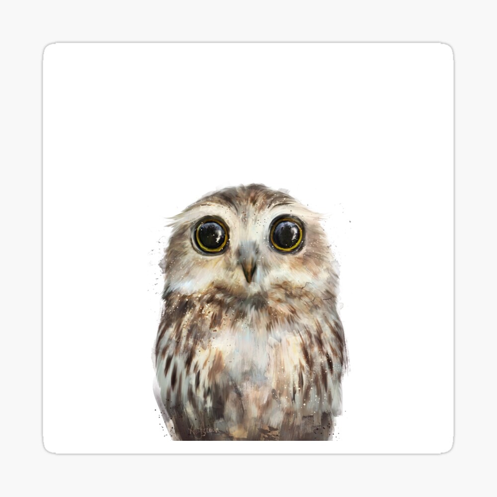 Little Owl Sticker