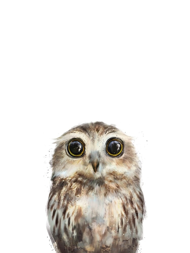 Little Owl by AmyHamilton
