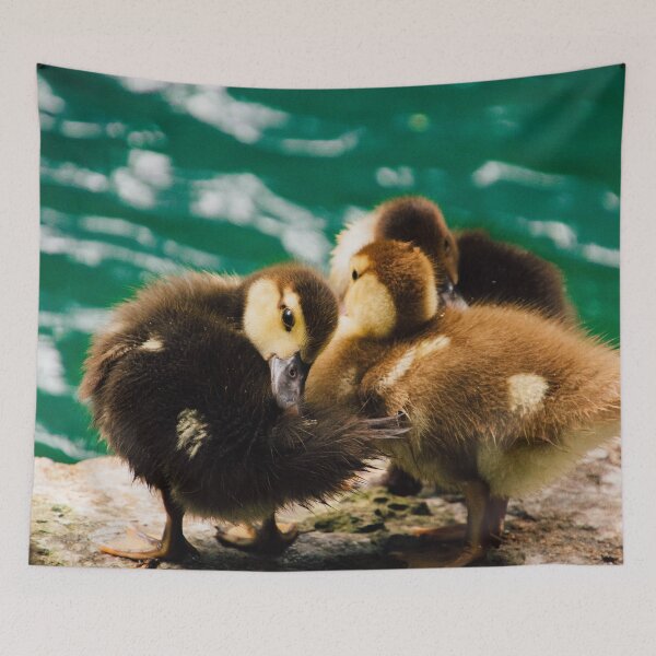 Item preview, Three Ducklings designed and sold by smithsarah1500.