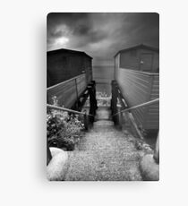 Between You and Me, Steps Have Been Taken... BW Metal Print