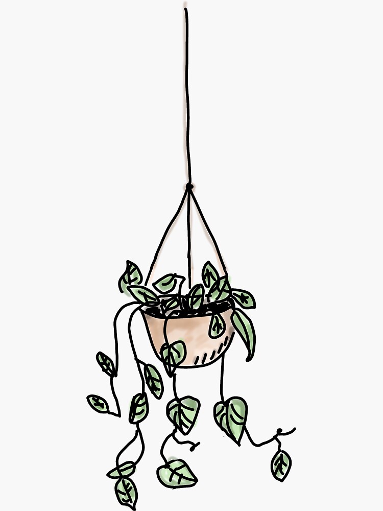 "Hanging plant doodle" Sticker by emlouisec13 Redbubble