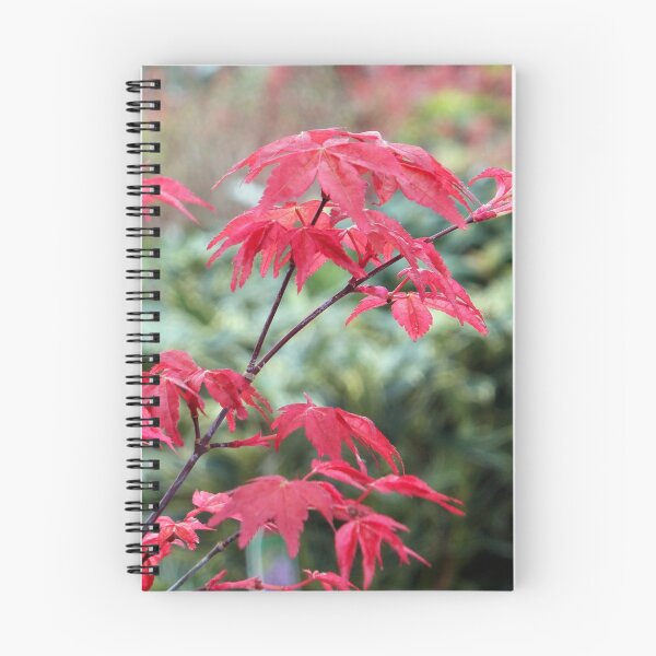 Item preview, Red Japanese Maple Leaves designed and sold by pinkal.