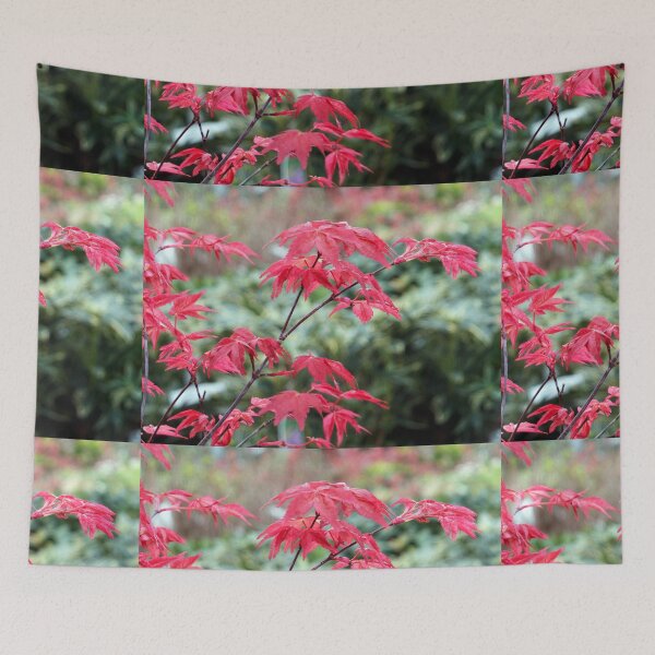 Item preview, Red Japanese Maple Leaves designed and sold by pinkal.