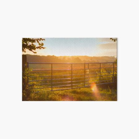 Take the rainbow with you Art Board Print